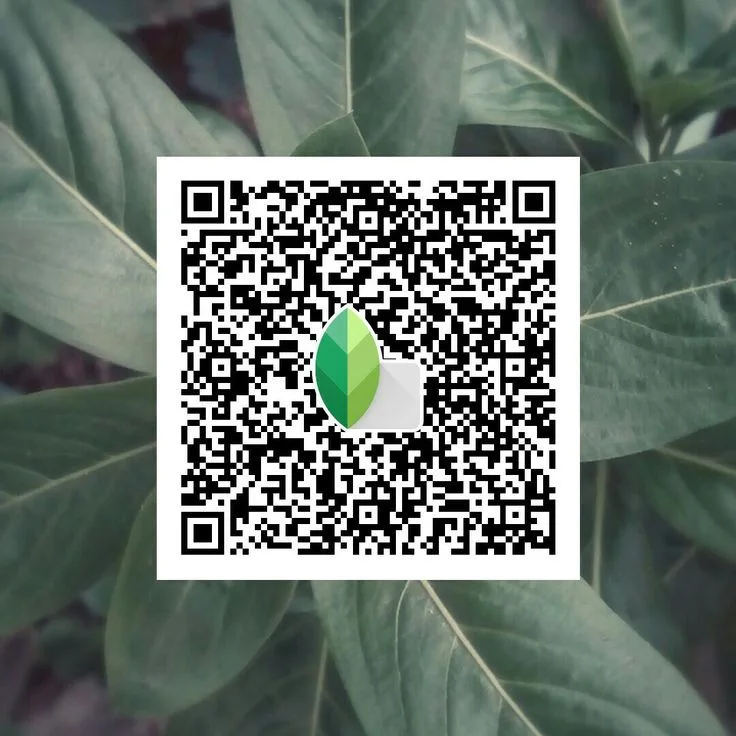 Lightroom Presets Snapseed QR Codes 2