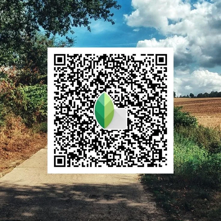 Lightroom Presets Snapseed QR Codes 3