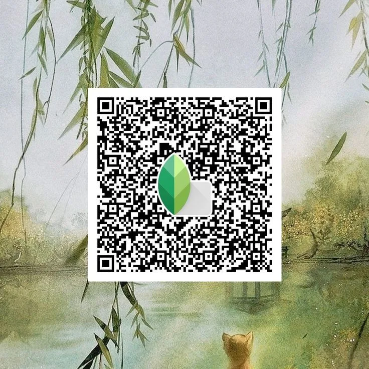 Lightroom Presets Snapseed QR Codes 5