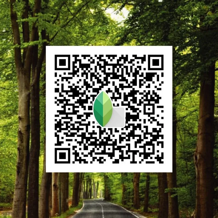 Lightroom Snapseed QR Codes 1