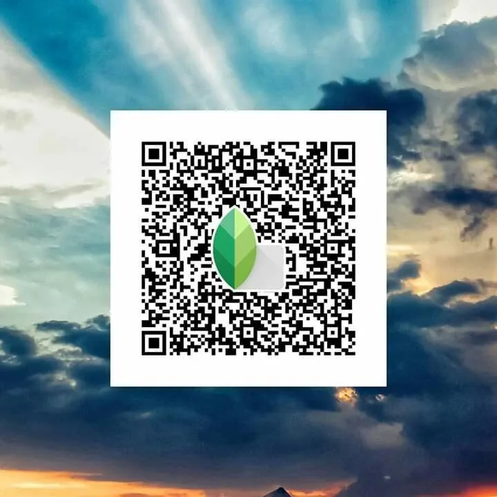 Snapseed QR Code 4