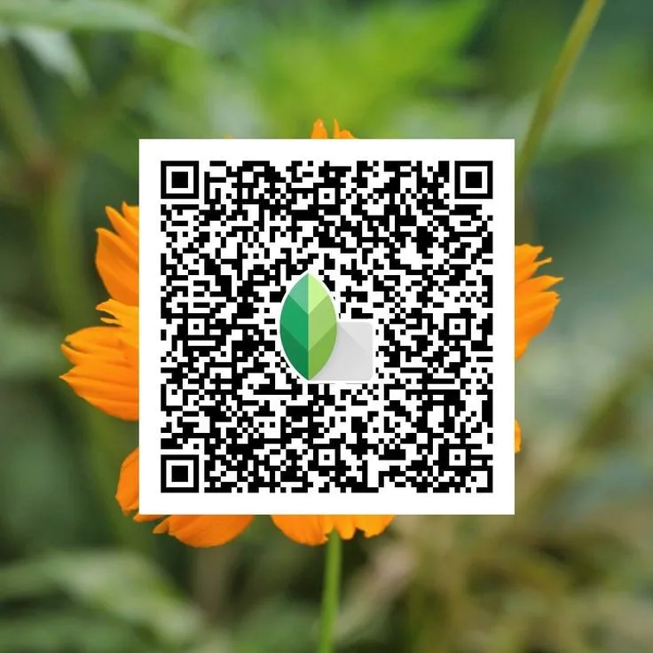 Snapseed QR Code 7