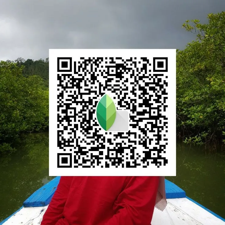 Snapseed QR Code Preset 1