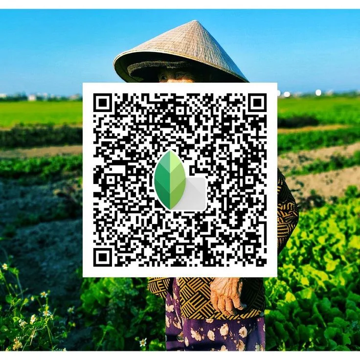Snapseed QR Code Preset 2