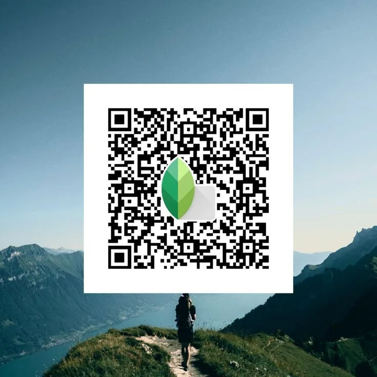Snapseed QR Code Preset 3