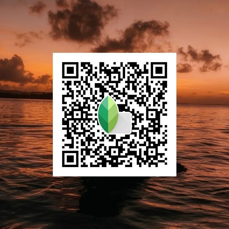 Snapseed QR Code Preset 4