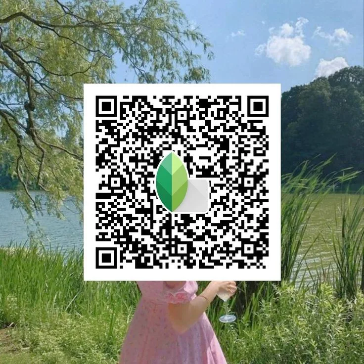 Snapseed QR Code Preset 5