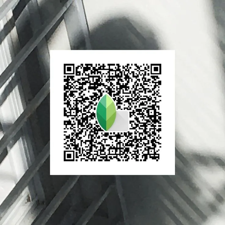 Snapseed QR Code Preset 6