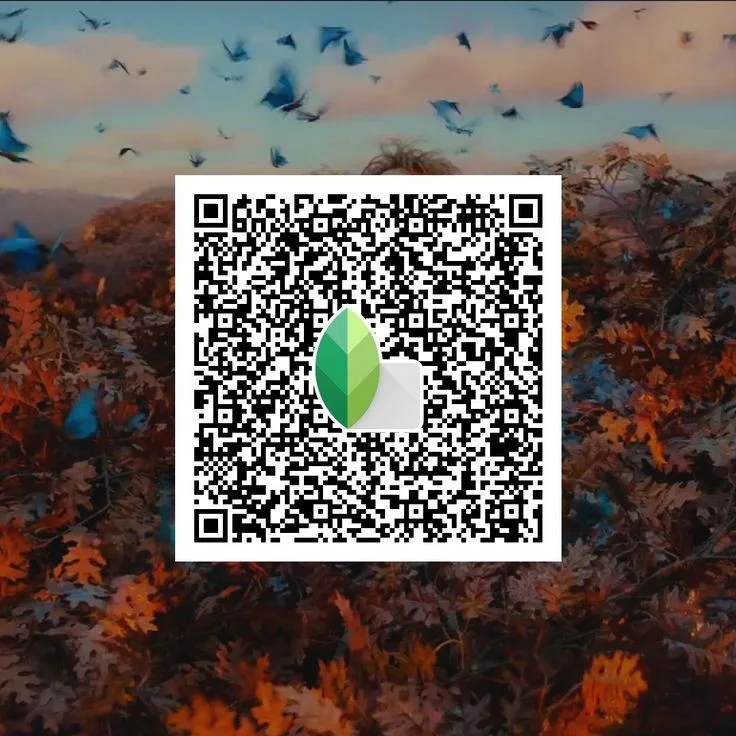 Snapseed QR Code Preset