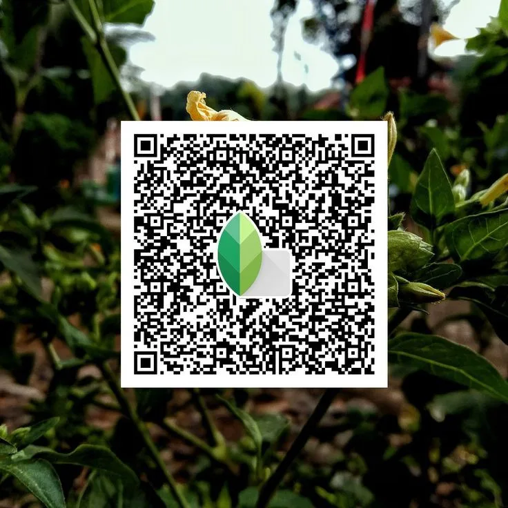 Top Snapseed QR Code Presets 2