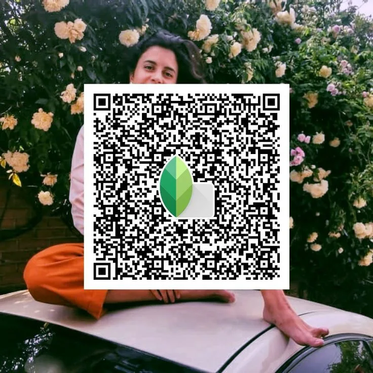 Top Snapseed QR Code Presets 3