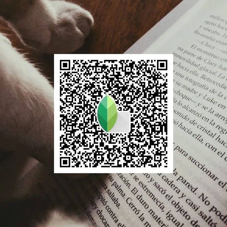 Top Snapseed QR Code Presets 4