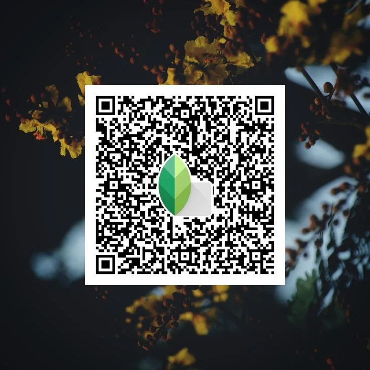 Top Snapseed QR Code Presets